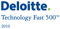 Deloitte Fast 500 award