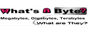 whatsabyte.com