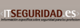 IT SEGURIDAD.es